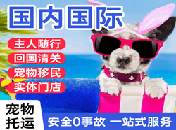 鞍山腾鳌机场快递国际宠物托运 【国